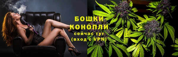 mdpv Волоколамск