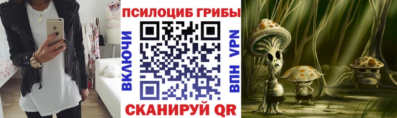 Псилоцибиновые грибы GOLDEN TEACHER Новоржев